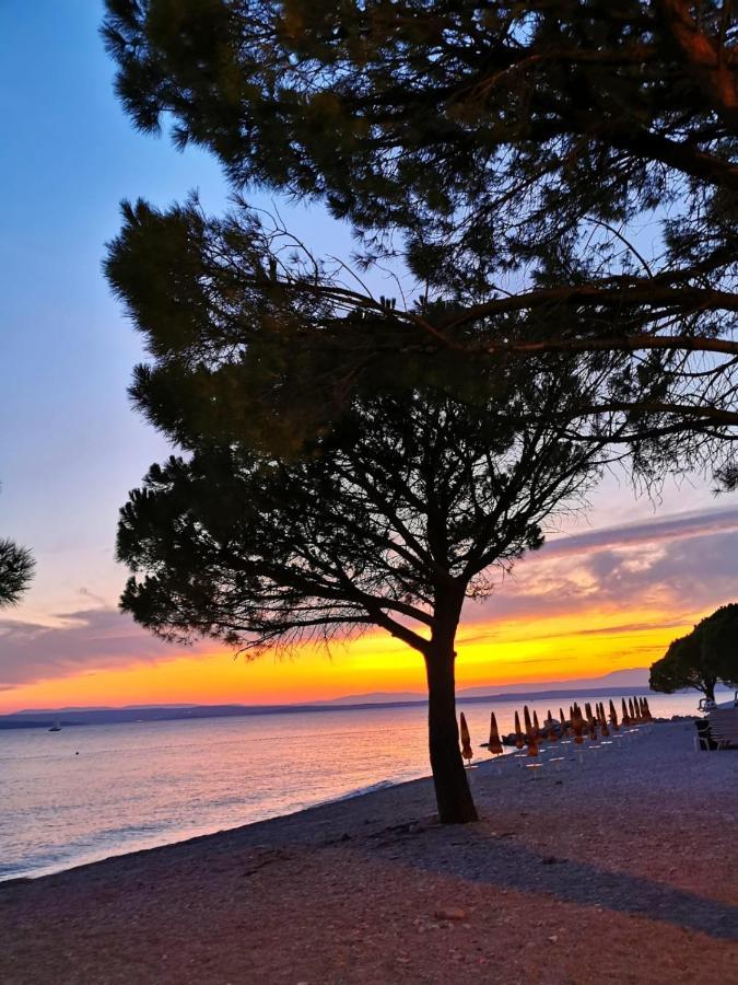 Ivana Apartman 3 Crikvenica Exteriér fotografie